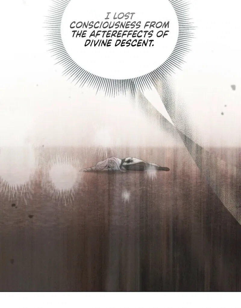 A Transmigrator’s Privilege Chapter 106 page 13 - 