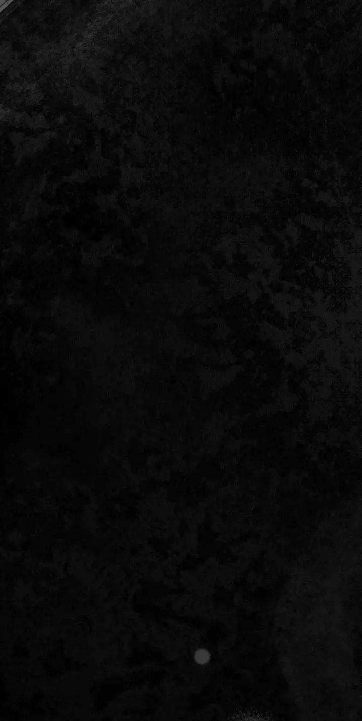 A Transmigrator’s Privilege Chapter 143 page 59 - 