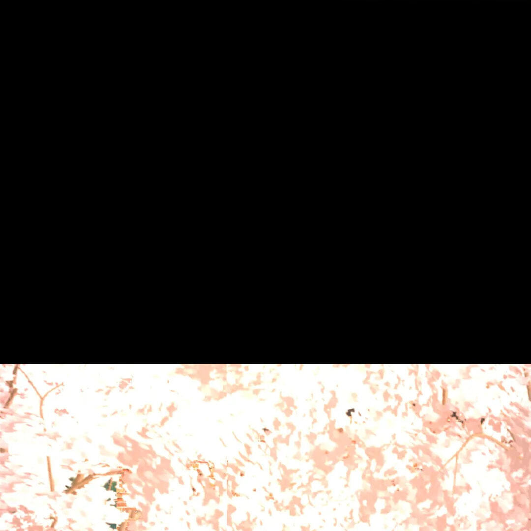 A Tree Without Roots Chapter 23 page 2 - 