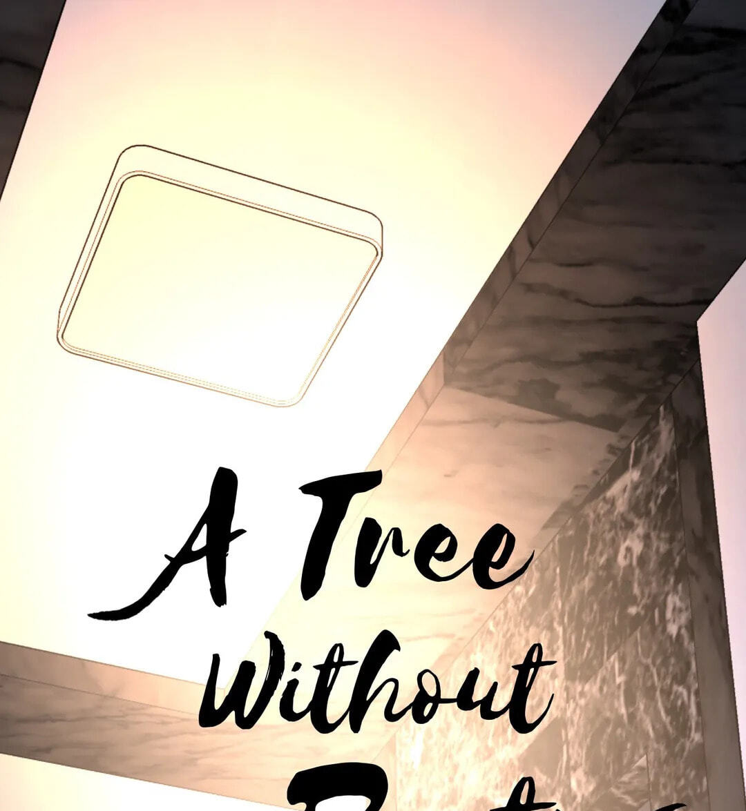A Tree Without Roots Chapter 31 page 1 - 
