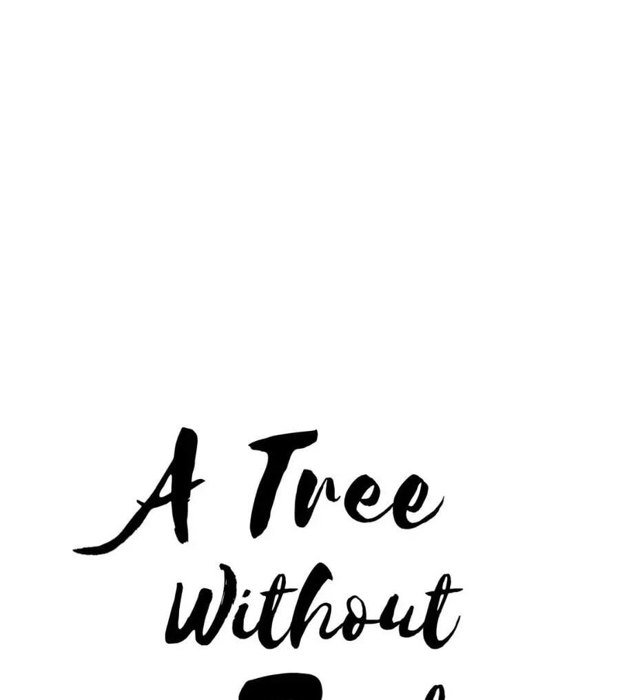 A Tree Without Roots Chapter 37 page 14 - 