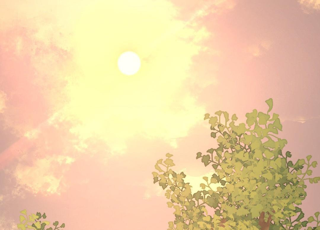 A Tree Without Roots Chapter 71 page 13 - 