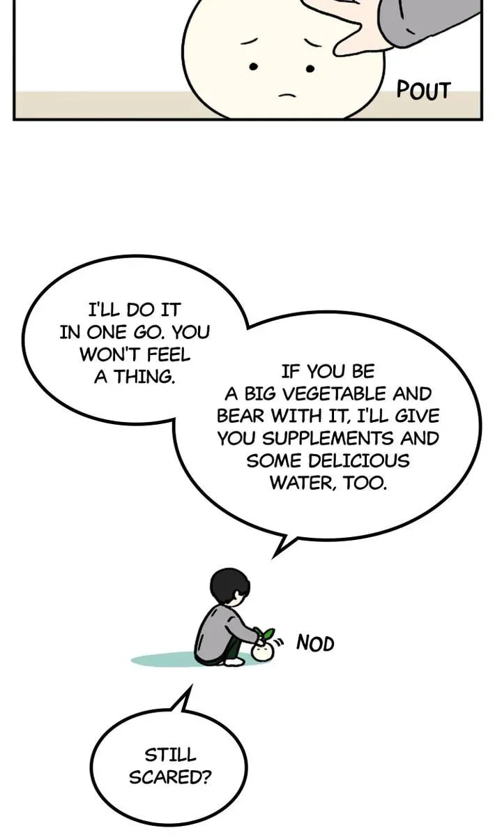 A Vegetarian's Pet Vegetable Chapter 1 page 4 - 