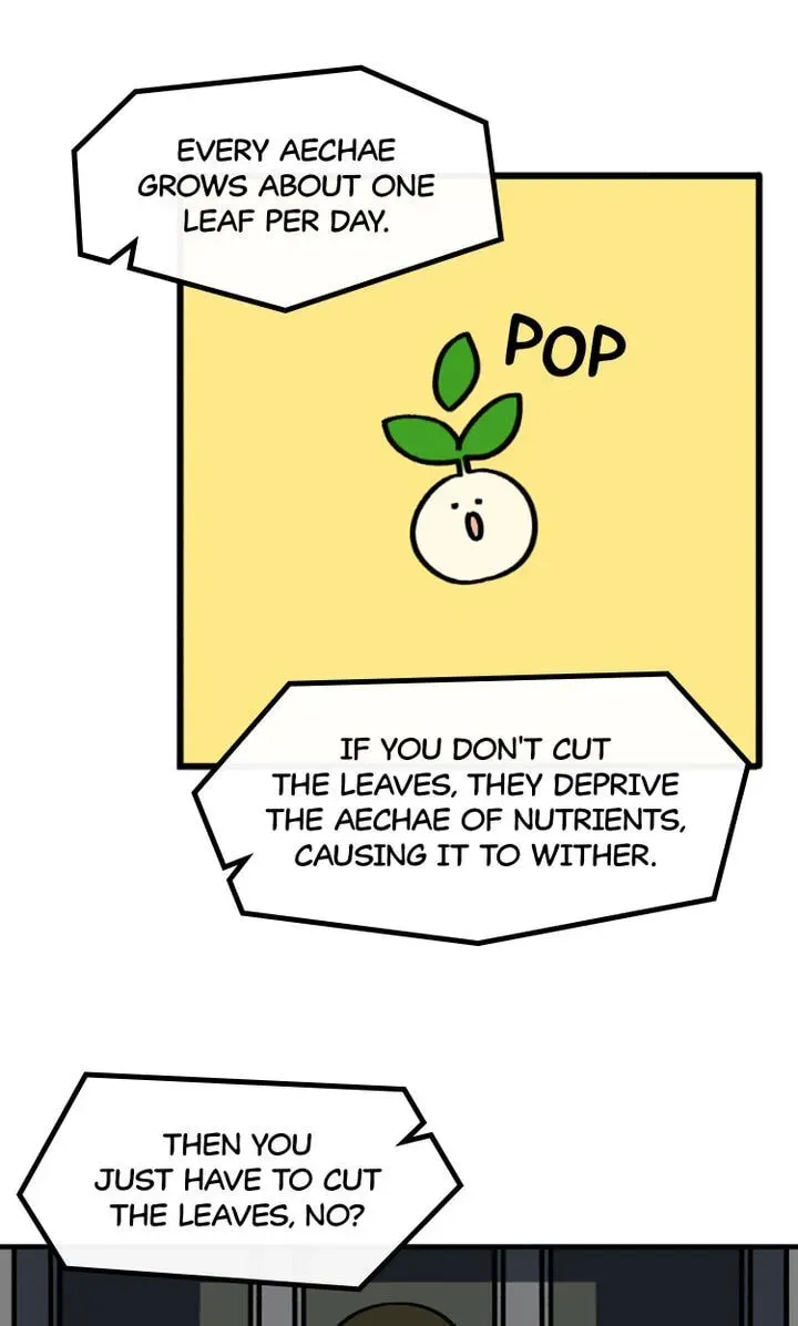 A Vegetarian's Pet Vegetable Chapter 1 page 37 - 