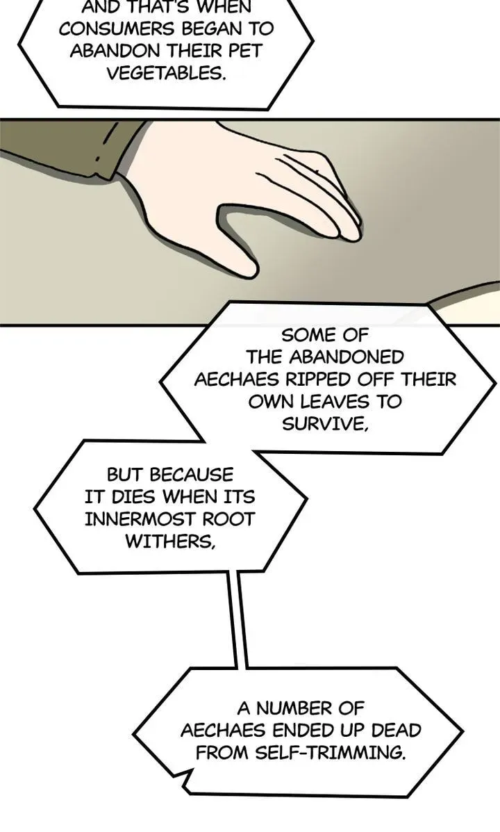 A Vegetarian's Pet Vegetable Chapter 1 page 41 - 