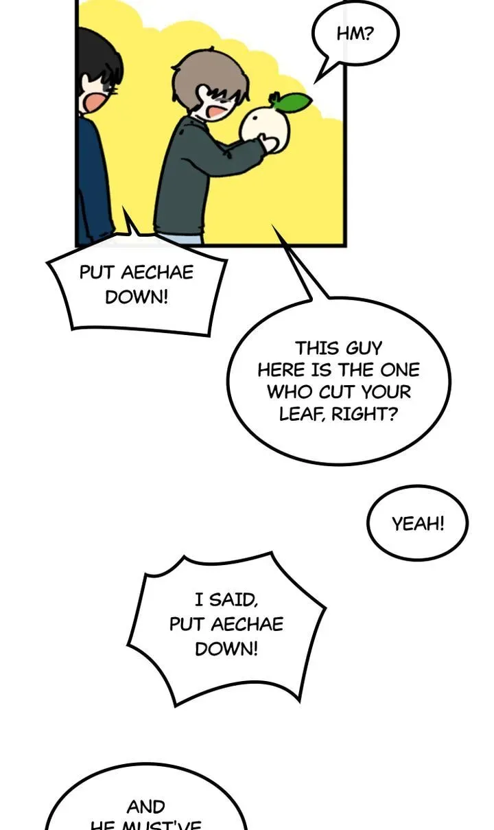 A Vegetarian's Pet Vegetable Chapter 14 page 36 - 