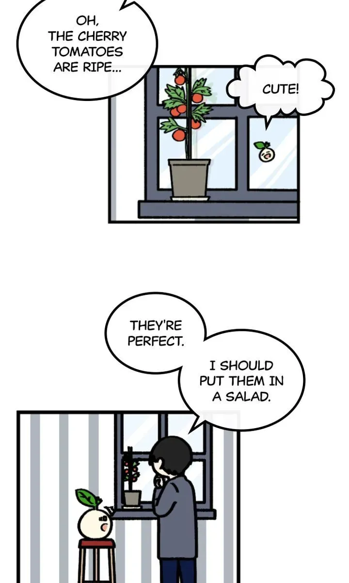 A Vegetarian's Pet Vegetable Chapter 2 page 13 - 