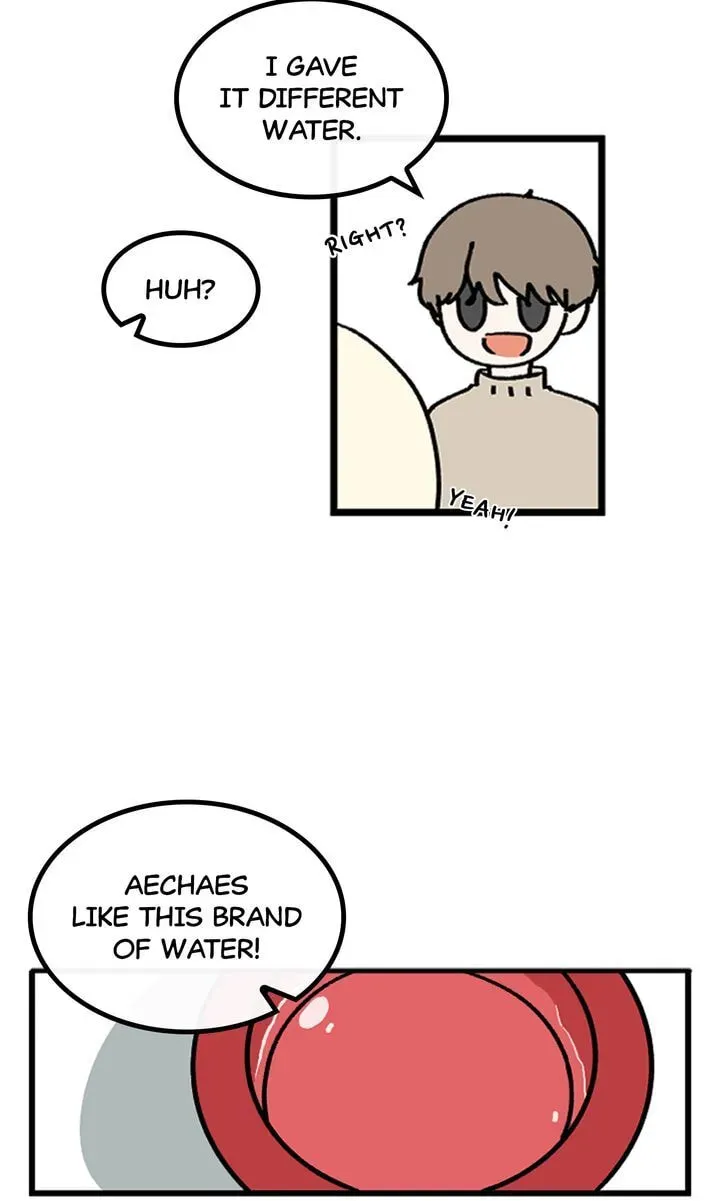A Vegetarian's Pet Vegetable Chapter 21 page 20 - 