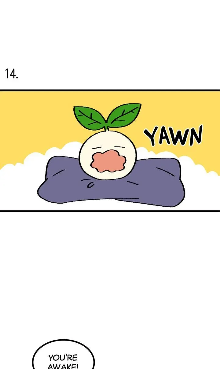 A Vegetarian's Pet Vegetable Chapter 26 page 1 - 