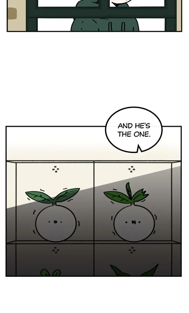 A Vegetarian's Pet Vegetable Chapter 4 page 21 - 