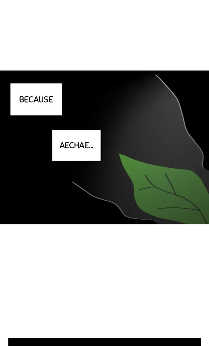A Vegetarian's Pet Vegetable Chapter 4 page 43 - 