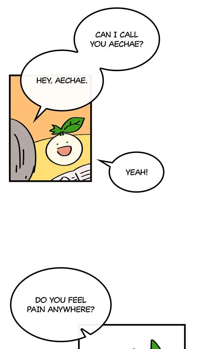 A Vegetarian's Pet Vegetable Chapter 51 page 12 - 