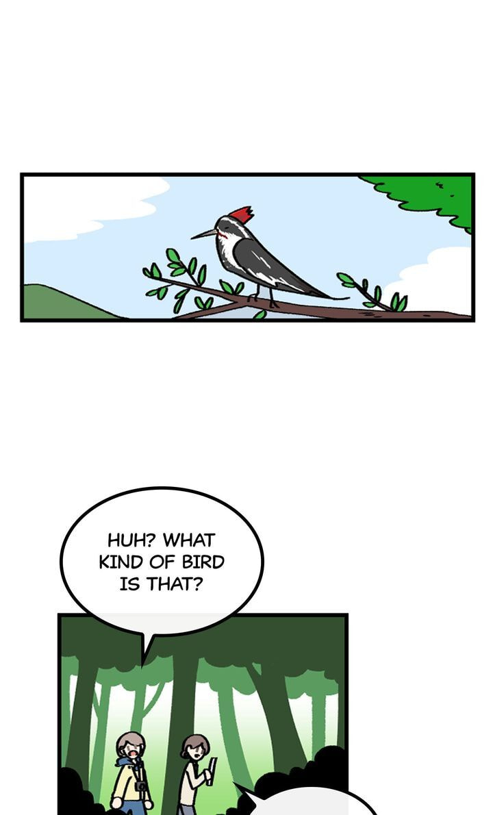 A Vegetarian's Pet Vegetable Chapter 29 page 40 - 