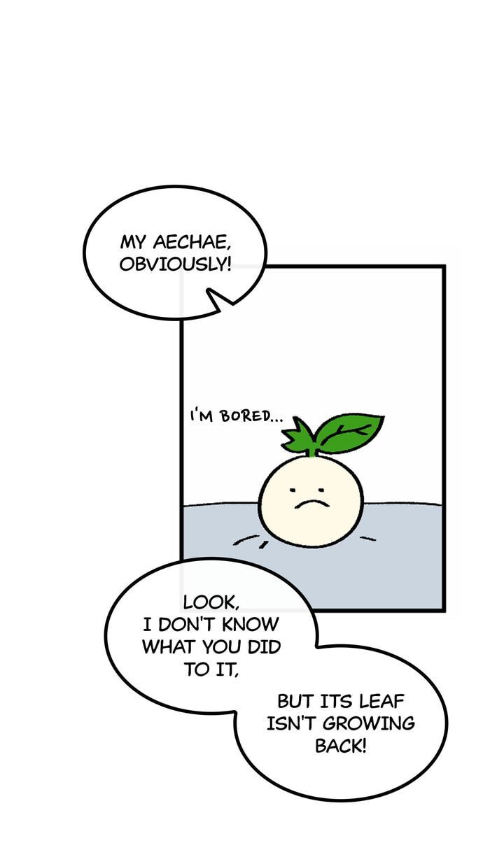 A Vegetarian's Pet Vegetable Chapter 54 page 47 - 
