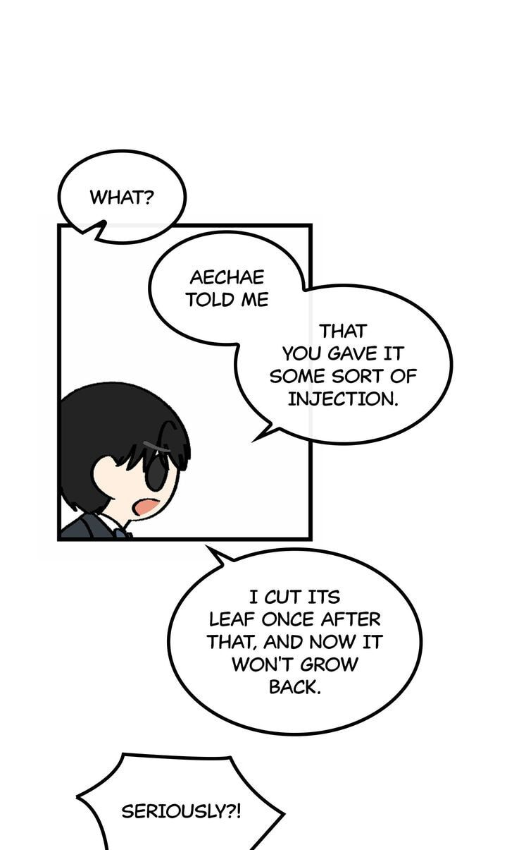 A Vegetarian's Pet Vegetable Chapter 54 page 48 - 