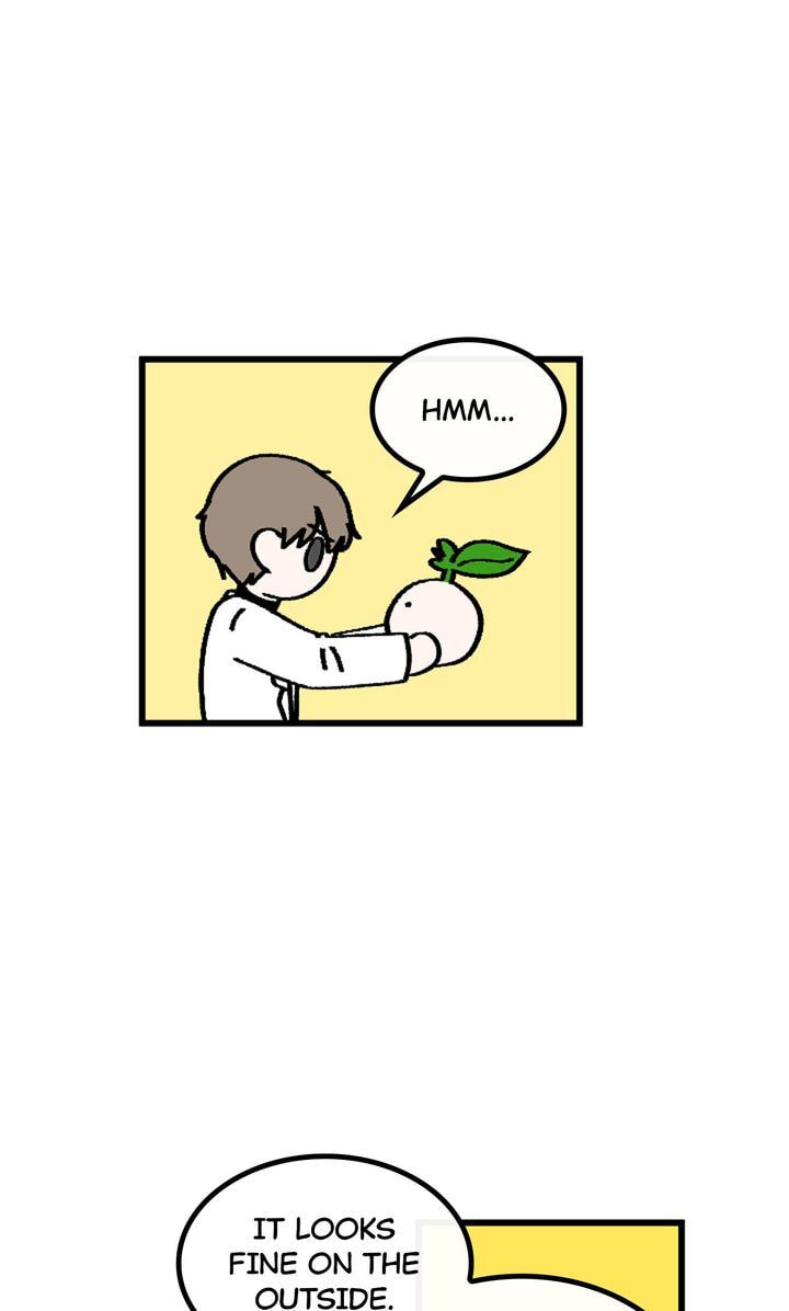 A Vegetarian's Pet Vegetable Chapter 55 page 45 - 