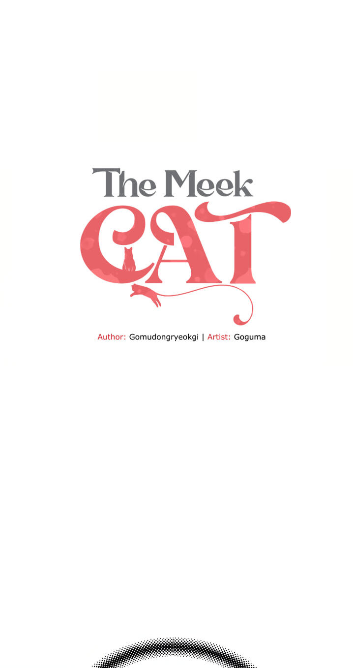 A well-behaved cat Chapter 10 page 8 - 