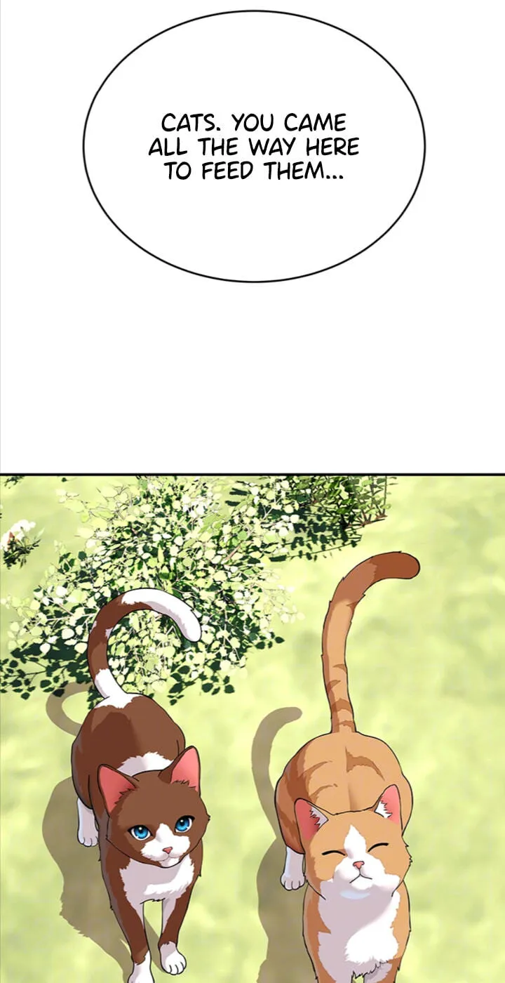 A well-behaved cat Chapter 15 page 13 - 