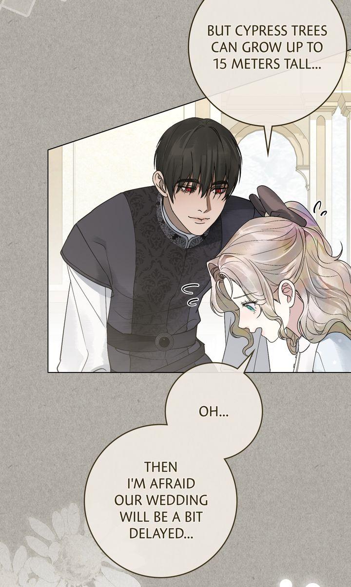 A Wicked Husband Chapter 21 page 31 - 