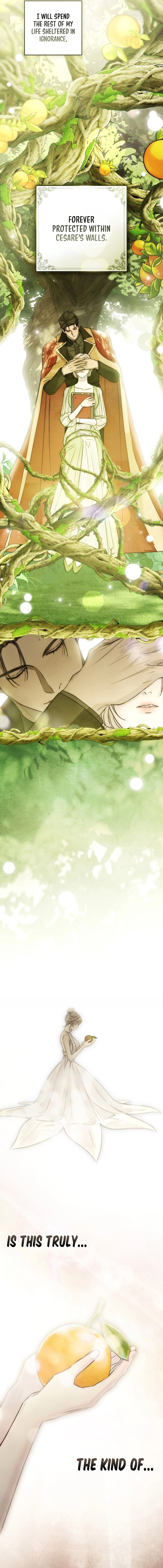 A Wicked Husband Chapter 45 page 10 - 