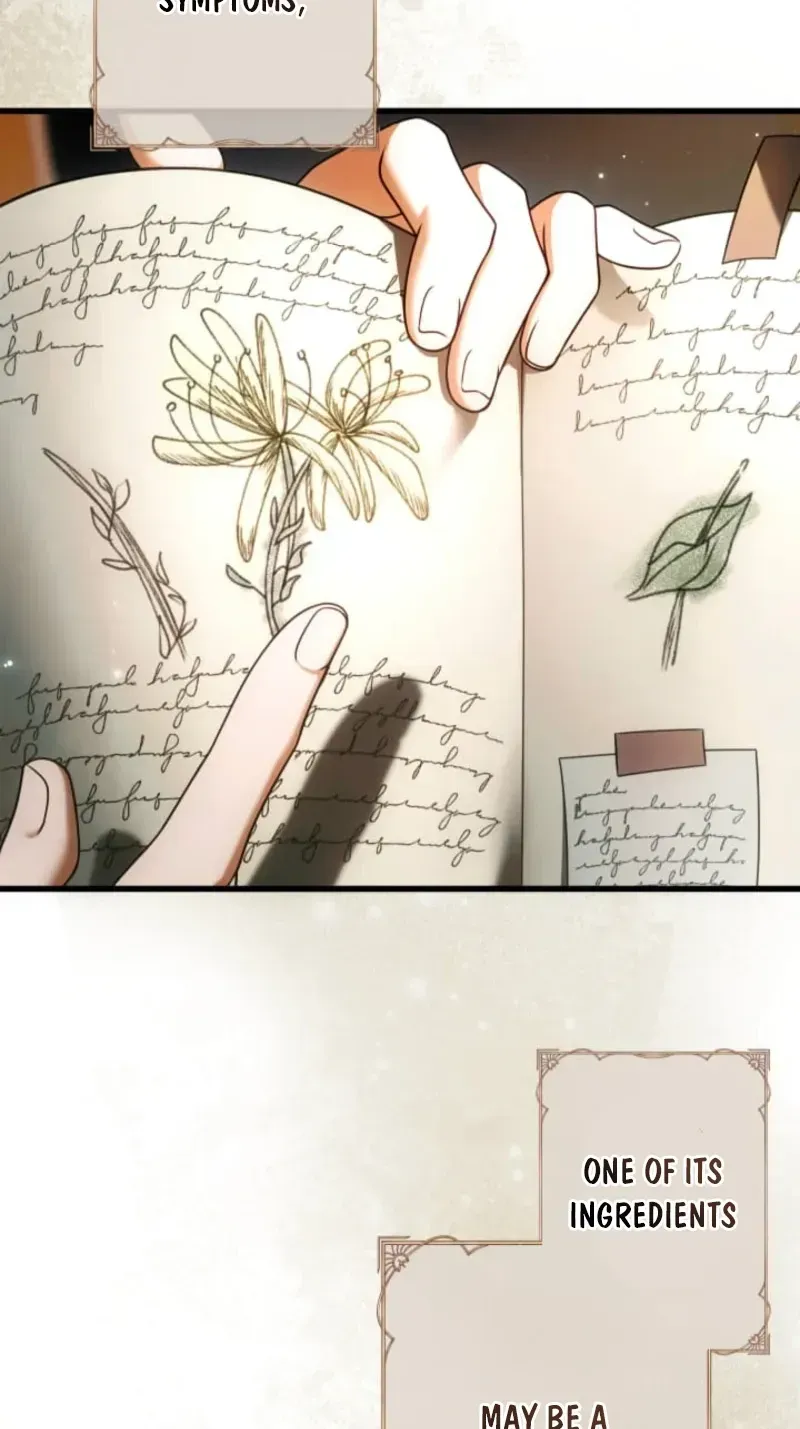 A Widowed Queen’s Devotion for Love Chapter 37 page 5 - 