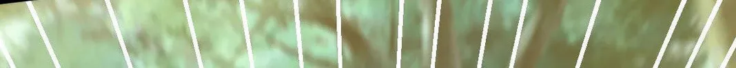Above Myriads Chapter 90 page 40 - 
