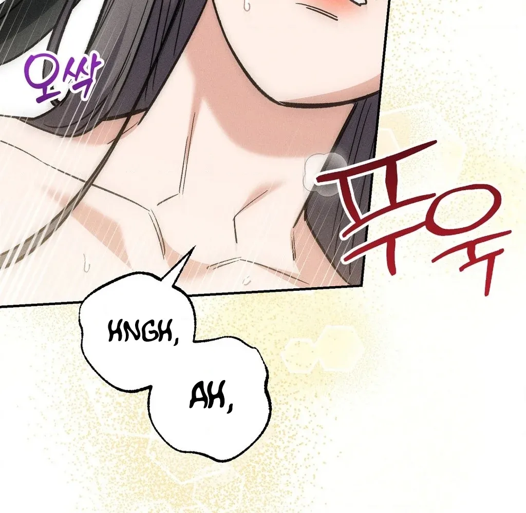 Absolute Adoration Chapter 32 page 68 - 