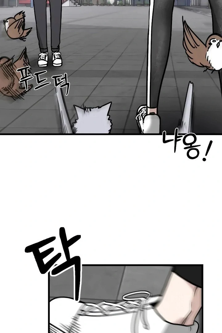Academy of Card Chapter 21 page 114 - 