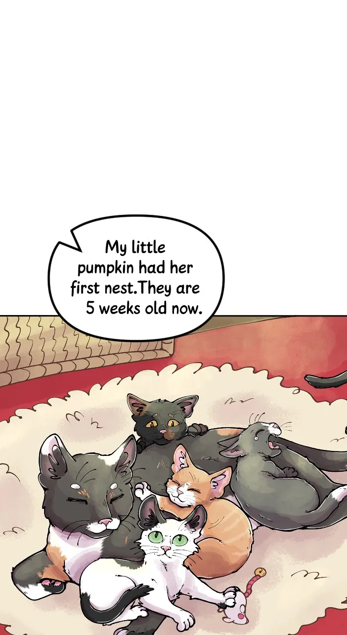 Acception Chapter 255 page 15 - 