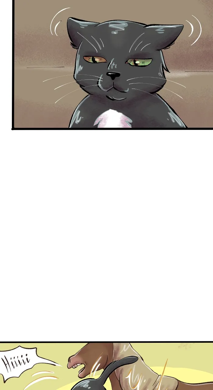 Acception Chapter 259 page 20 - 