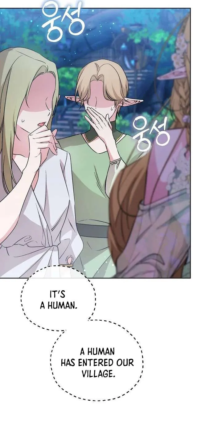 Adonis Chapter 311 page 115 - 