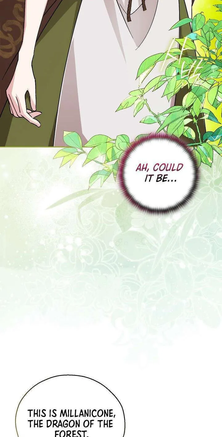 Adonis Chapter 313 page 133 - 