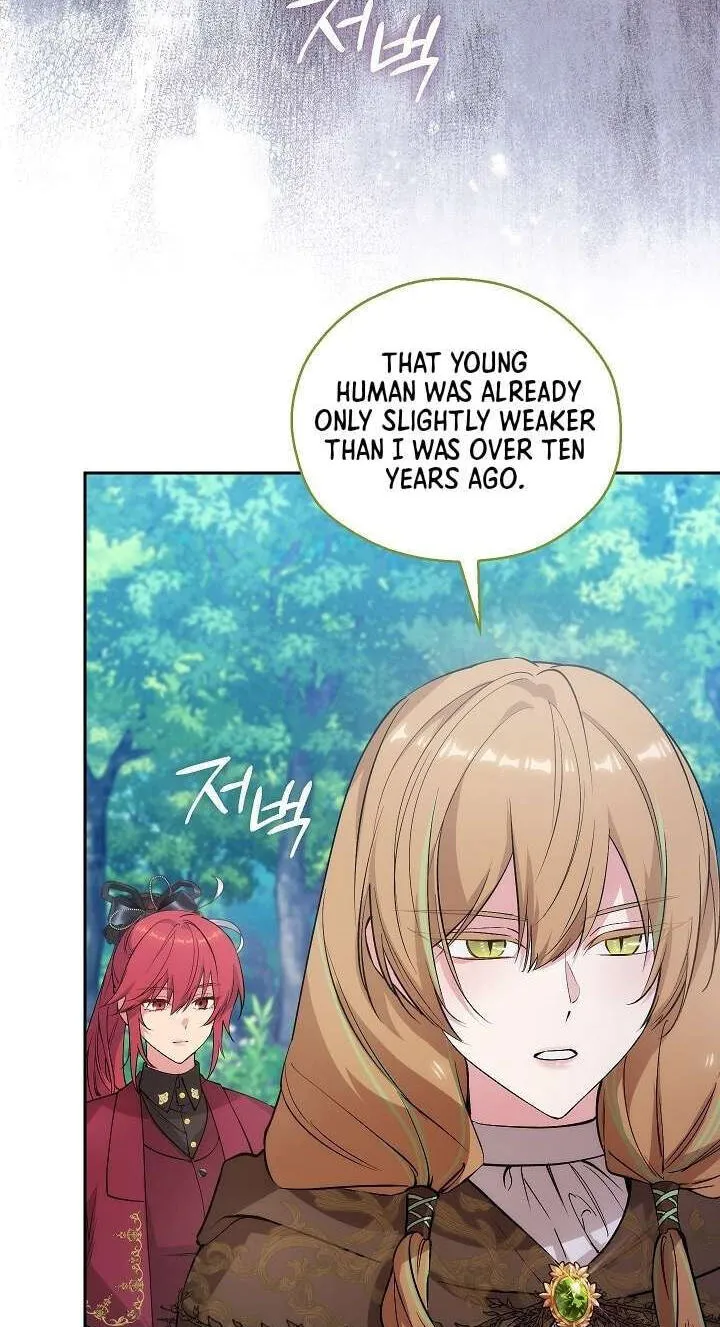 Adonis Chapter 313 page 144 - 