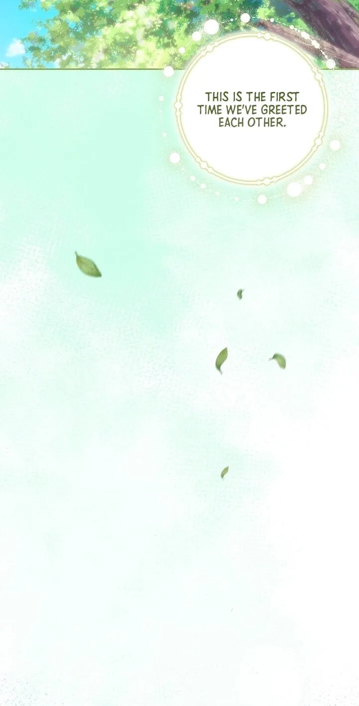 Adonis Chapter 313 page 24 - 