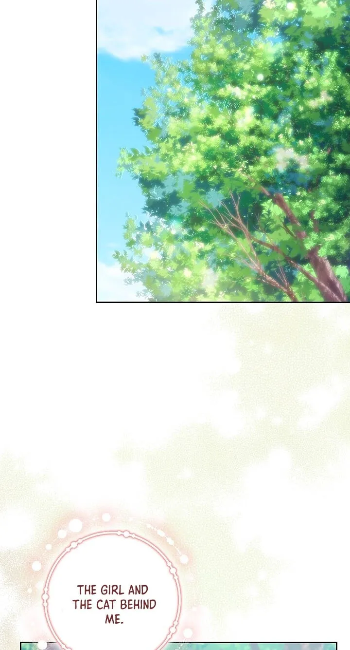 Adonis Chapter 313 page 81 - 