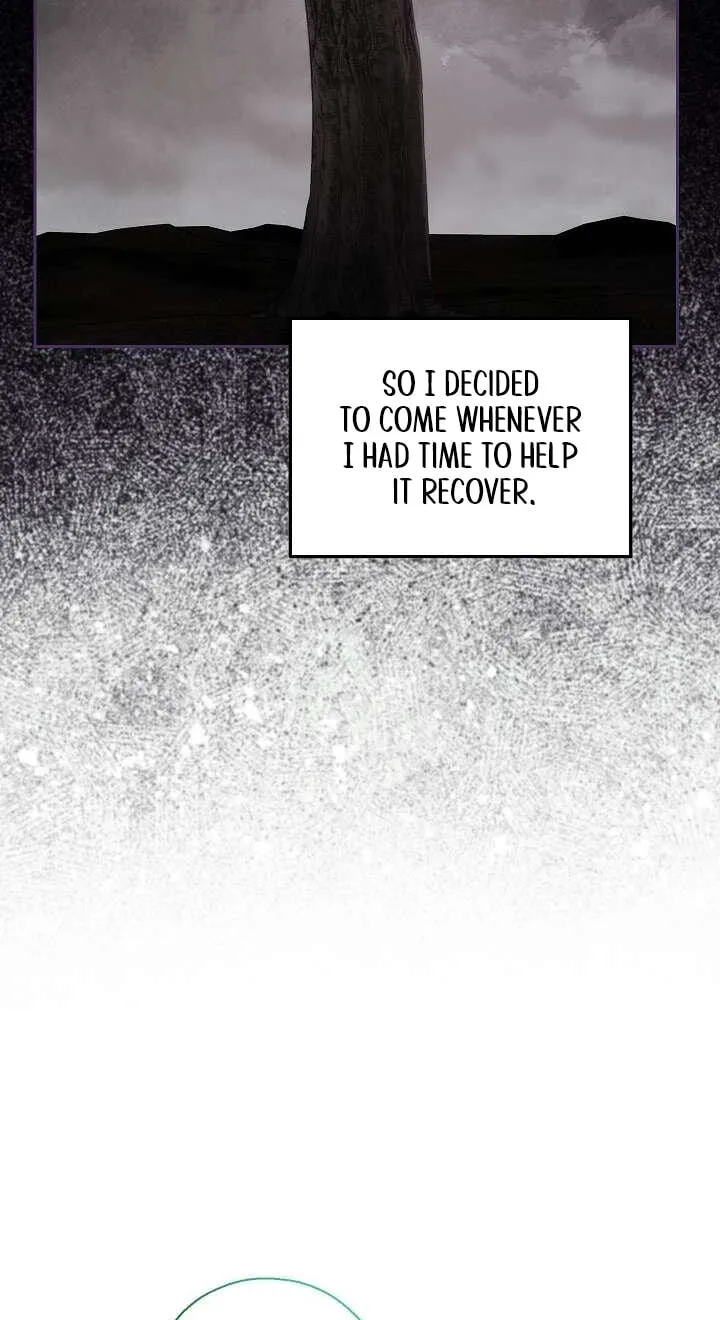 Adonis Chapter 314 page 71 - 