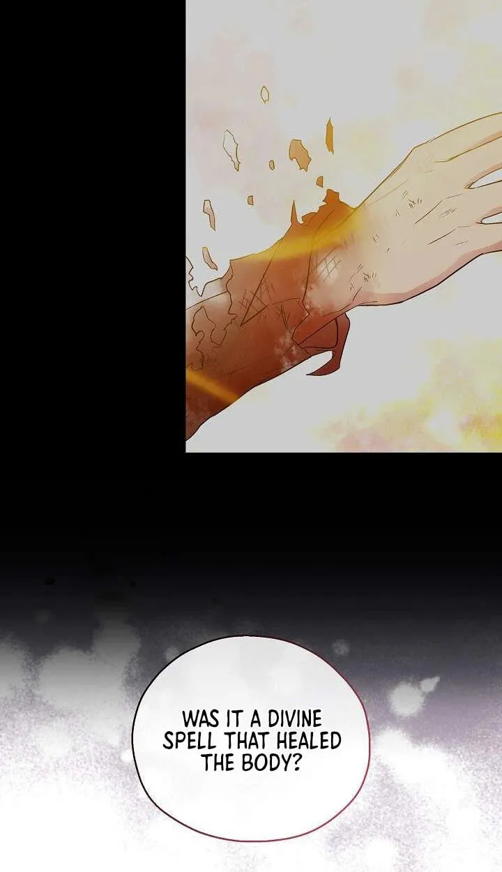 Adonis Chapter 315 page 165 - 