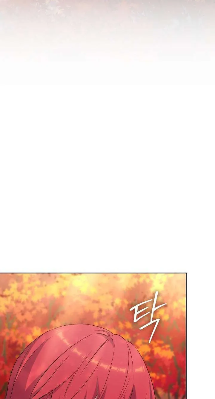 Adonis Chapter 316 page 147 - 