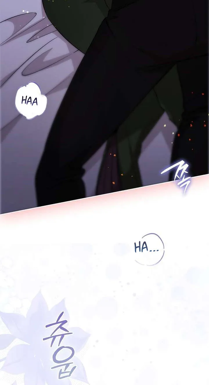 Adonis Chapter 316 page 81 - 