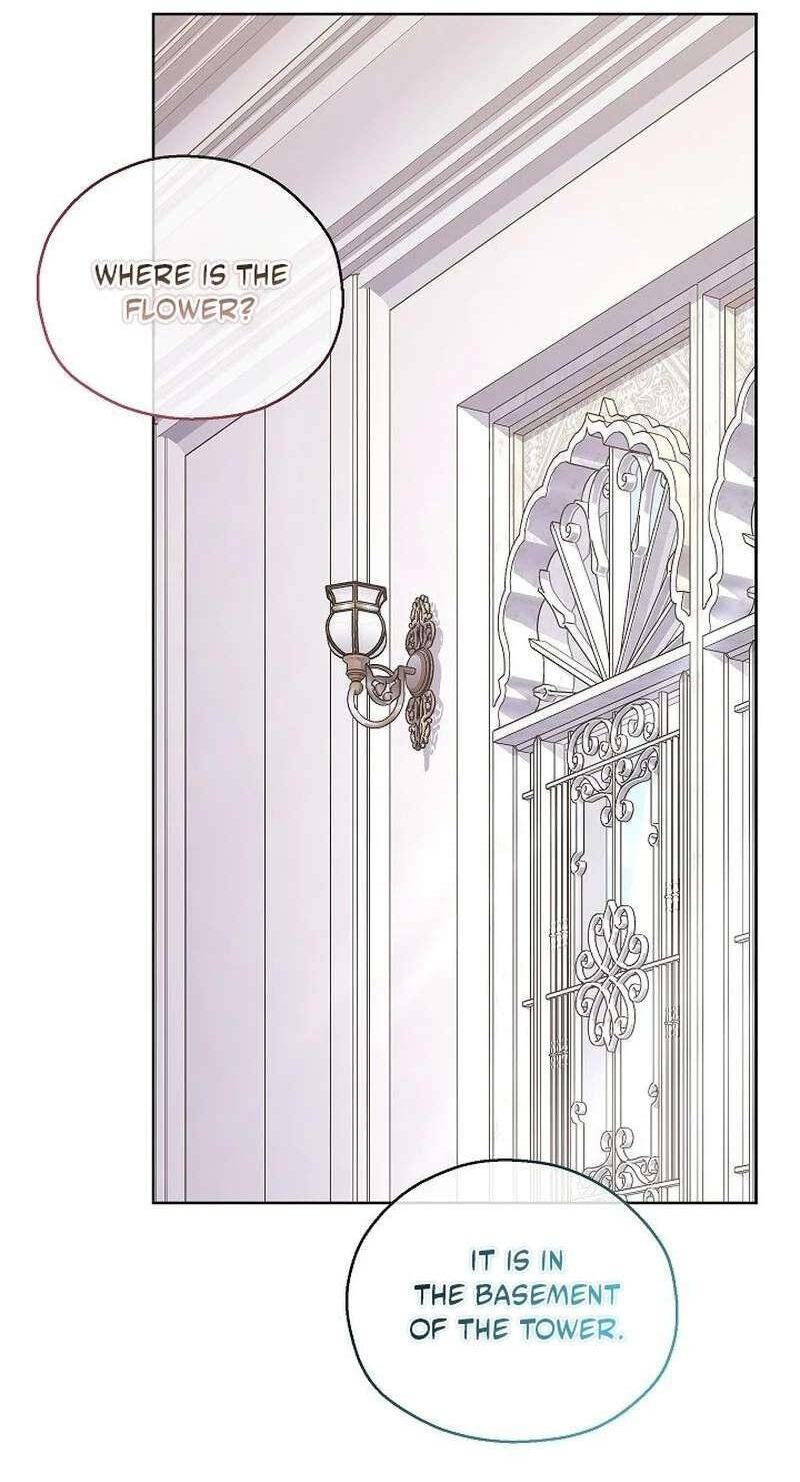 Adonis Chapter 319 page 75 - 
