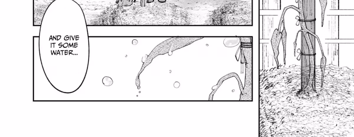 After Being Fired From the Court, A Plant Mage Enjoys a Slow Life. Chapter 3 page 37 - 