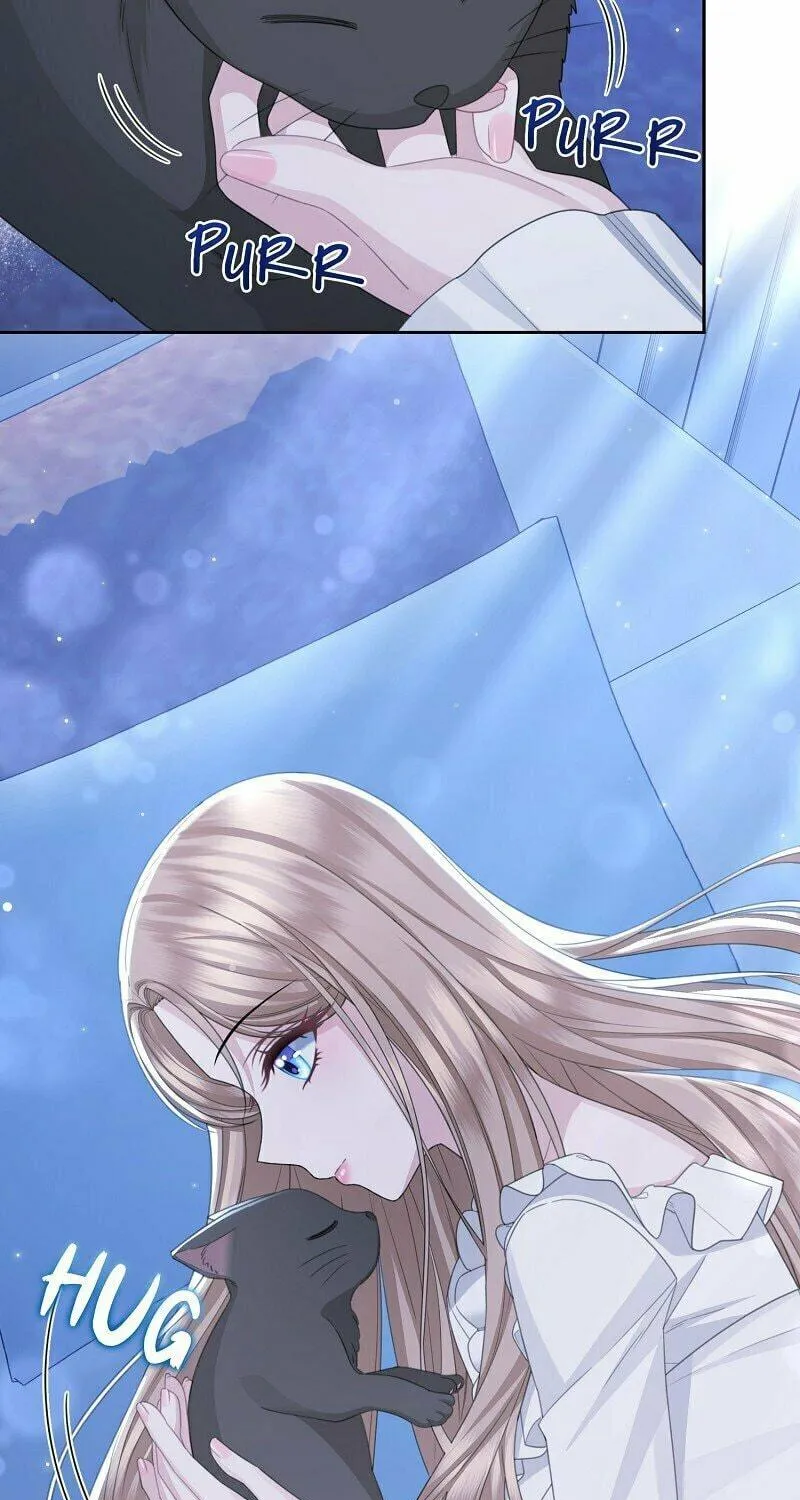 After Cinderella's Magic Is Broken Chapter 43 page 47 - 