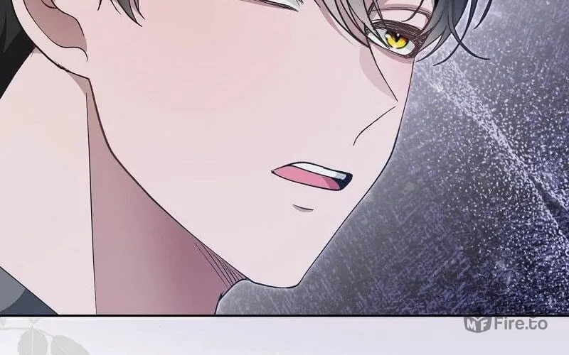 After Cinderella's Magic Is Broken Chapter 63 page 78 - 