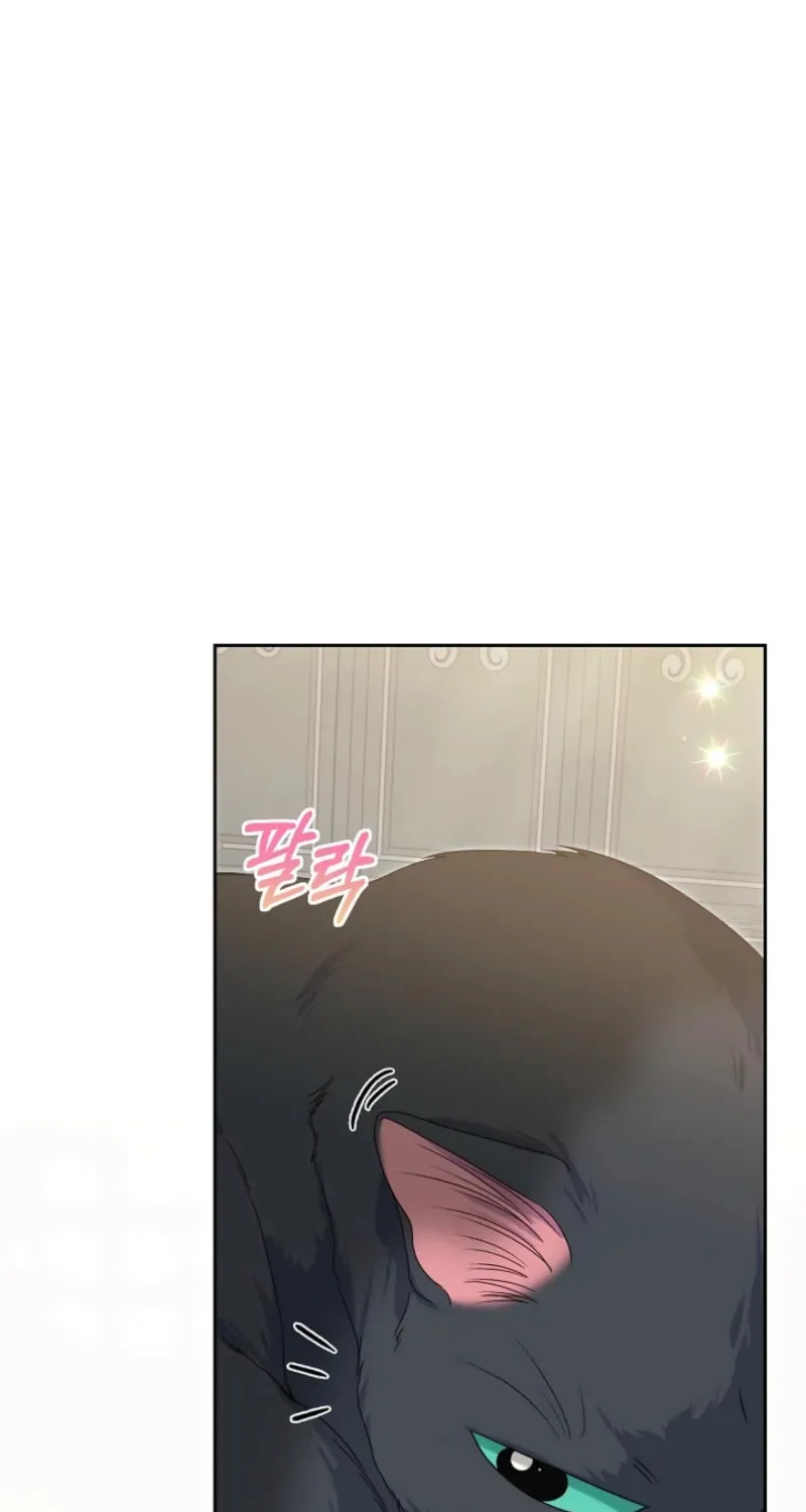 After Cinderella's Magic Is Broken Chapter 73 page 60 - 