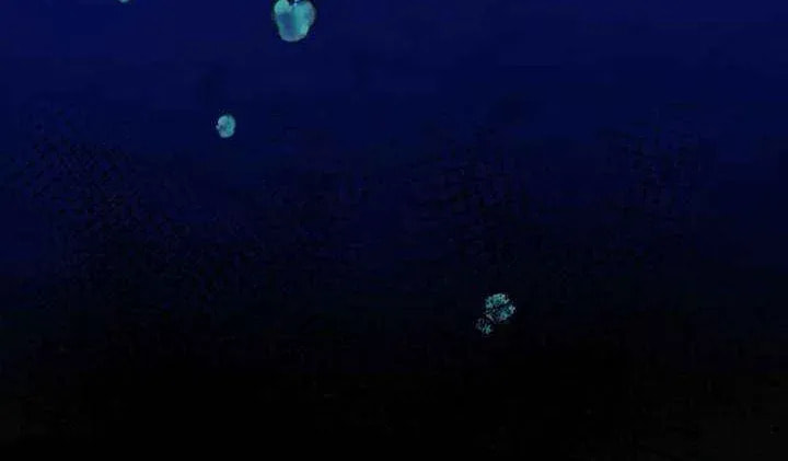 After Cinderella's Magic Is Broken Chapter 82 page 30 - 