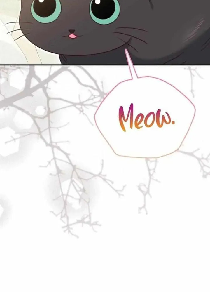 After Cinderella's Magic Is Broken Chapter 92 page 47 - 