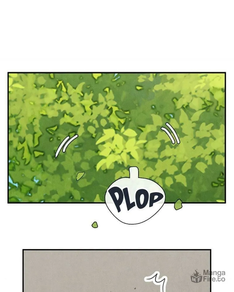 After School Lessons for Unripe Apples Chapter 66 page 237 - 