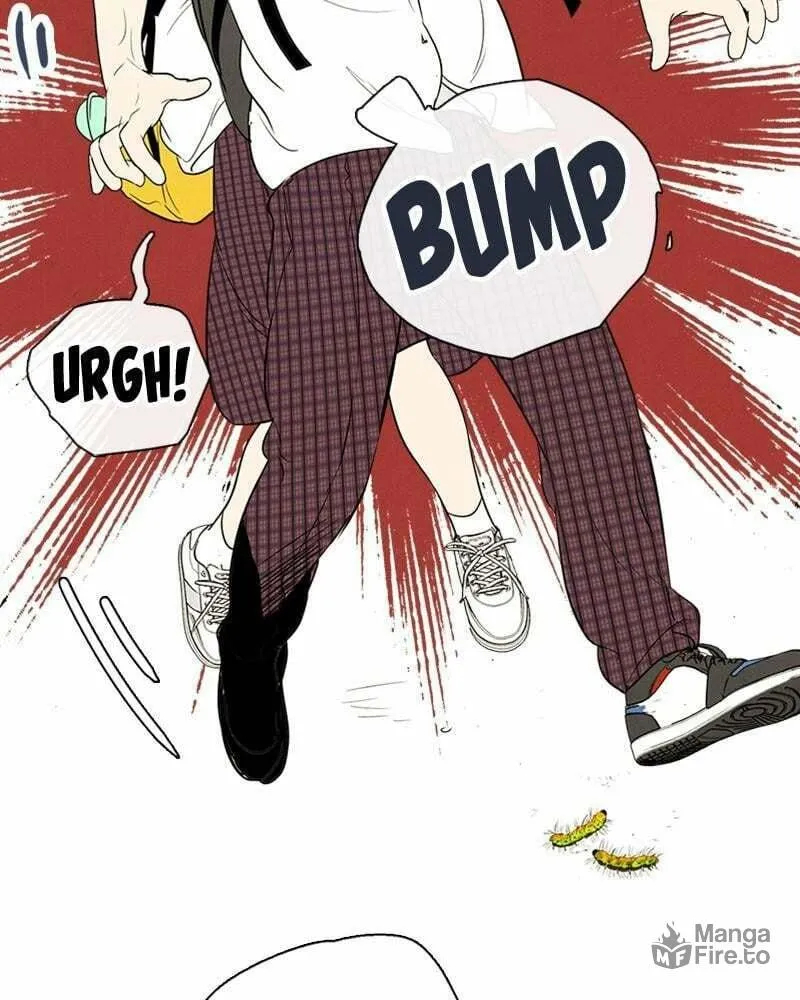 After School Lessons for Unripe Apples Chapter 66 page 240 - 