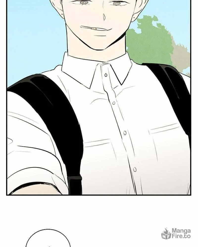After School Lessons for Unripe Apples Chapter 66 page 252 - 