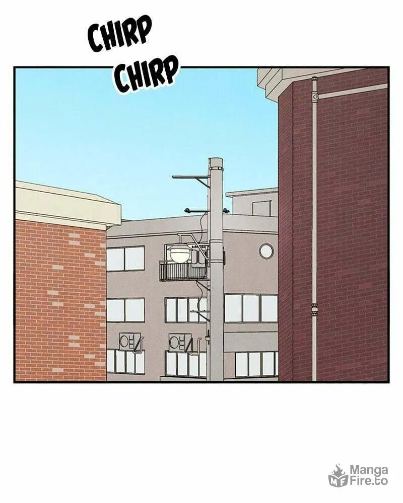 After School Lessons for Unripe Apples Chapter 66 page 36 - 